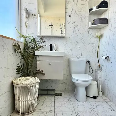 Petrov Penthouse アパート *